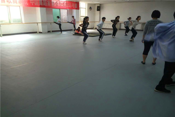 舞蹈地胶——河北省歌舞剧院成功案例