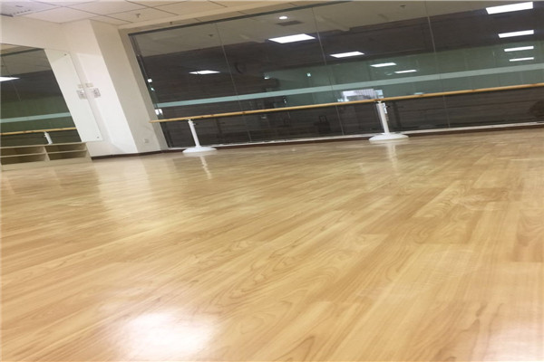 舞蹈地胶--兰州费奥斯艺术培训中心成功案例