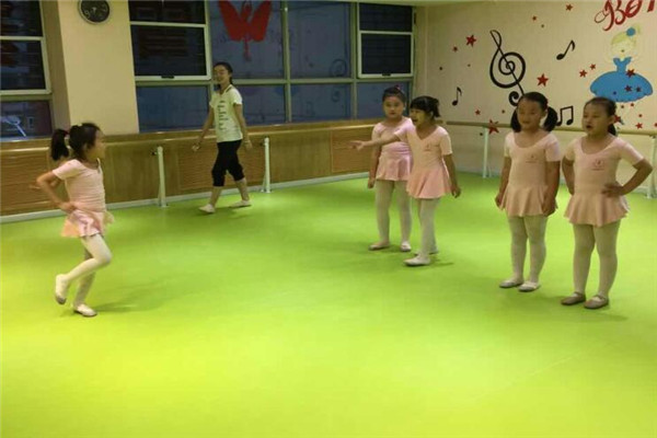 舞蹈地胶--北京雪舞翔鑫文化艺术有限公司成功案例