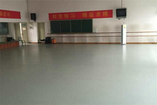 舞蹈地胶--湖北武汉青少年宫成功案例