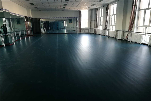 舞蹈地胶--内蒙古锡林浩特市职业学院成功案例