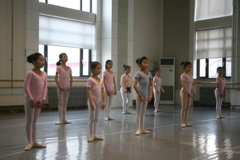 舞蹈地胶-中央芭蕾舞团成功案例