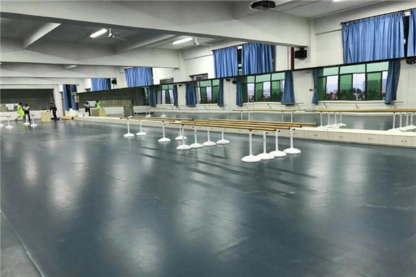 舞蹈室地胶--广东河源市理工学校理工学校成功案例