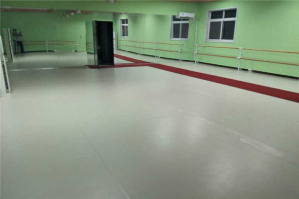 舞蹈地胶--河北沧州某舞蹈培训班成功案例