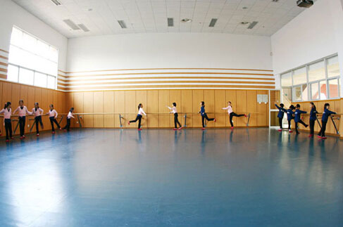 舞蹈室地板,舞蹈地板,舞蹈专用地板