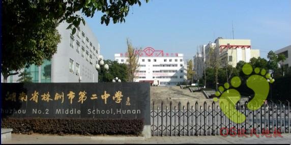 湖南株洲市第二中学舞蹈教室地胶铺设